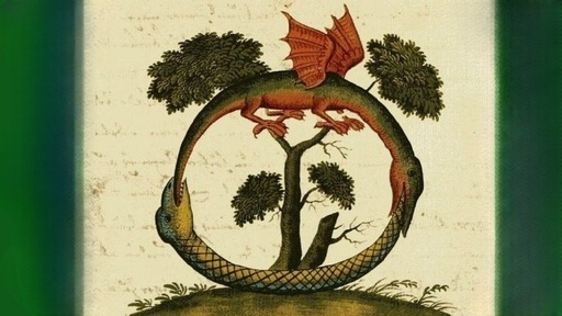 De ton poison tu as extrait un baume : symbolique de l’Ouroboros 7/13