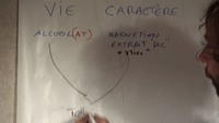 Alchimie Pierre Végétale théoriques  spagyrie
